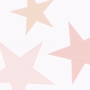 Meet your Posher, Ashlie